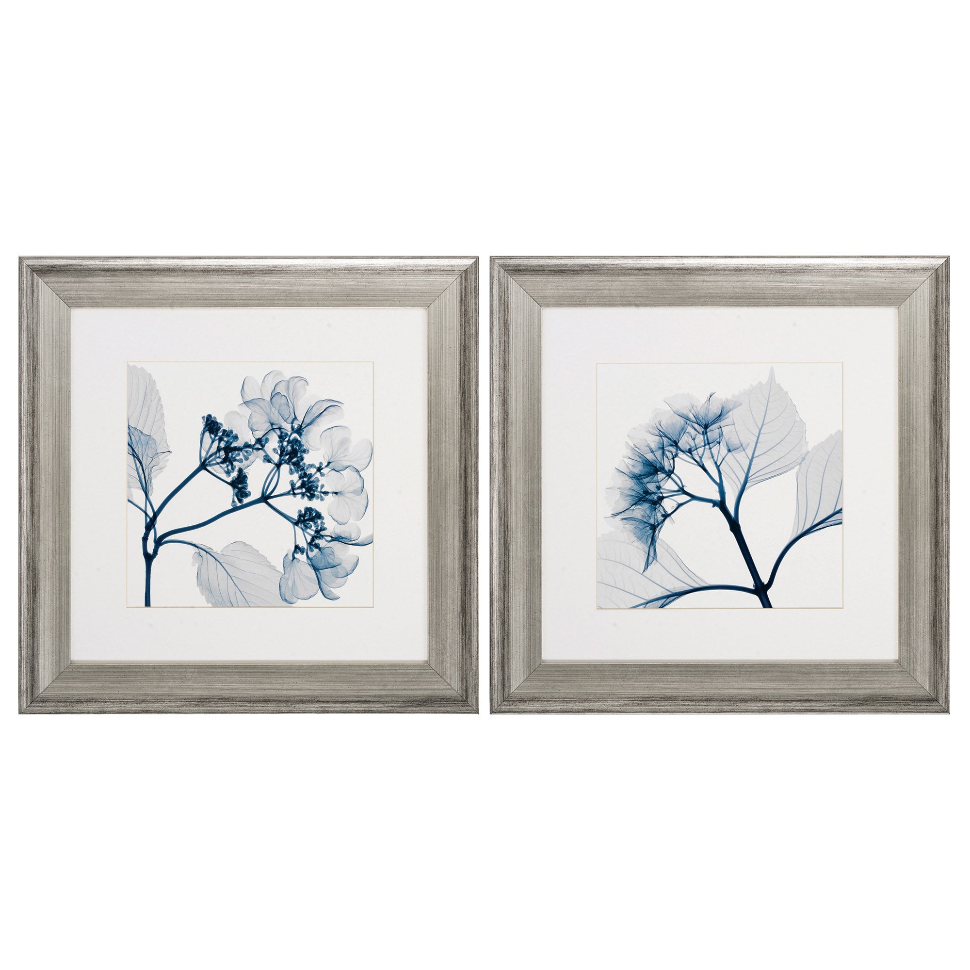 21" X 21" Silver Frame Hydrangeas Pos (Set of 2)