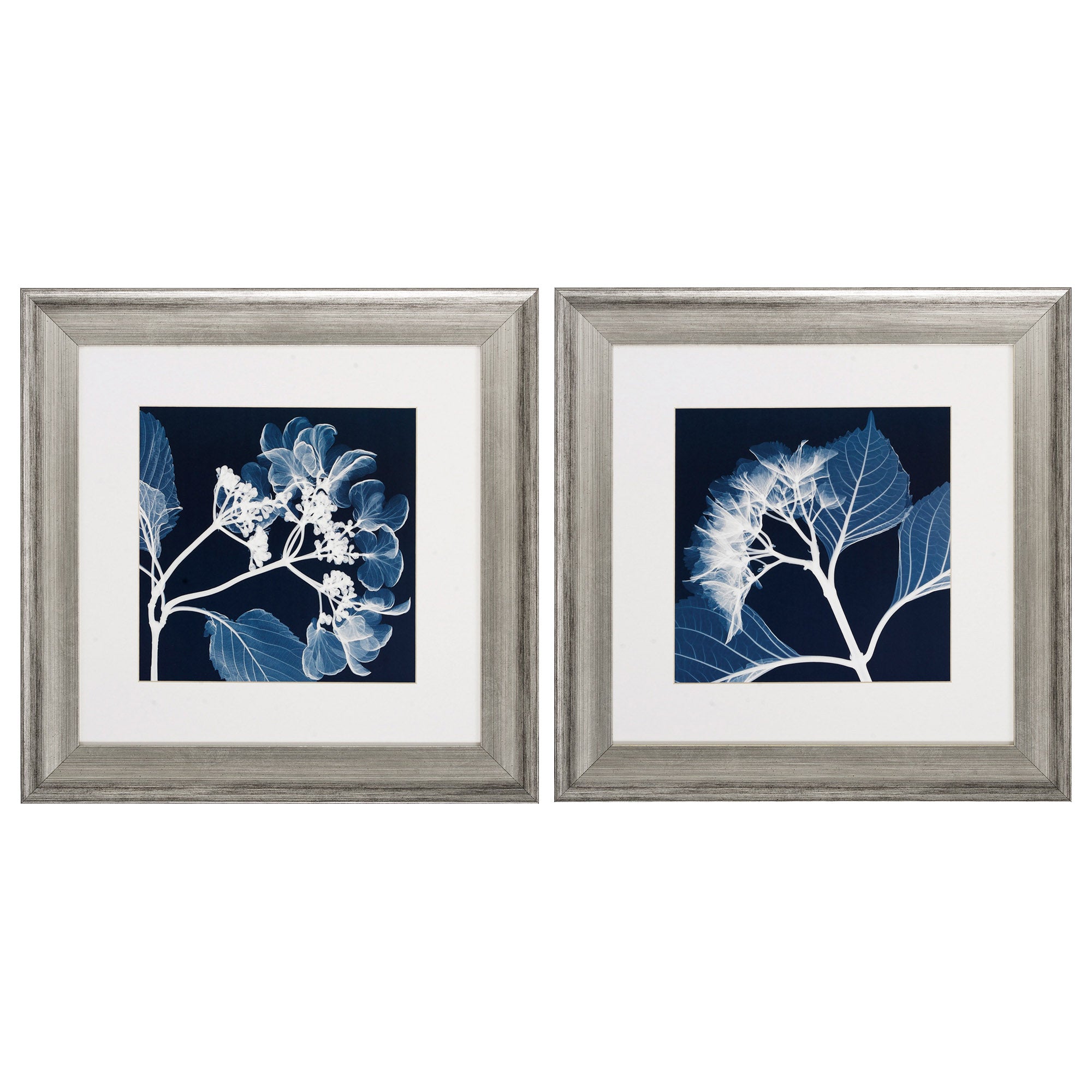21" X 21" Silver Frame Hydrangeas Neg (Set of 2)