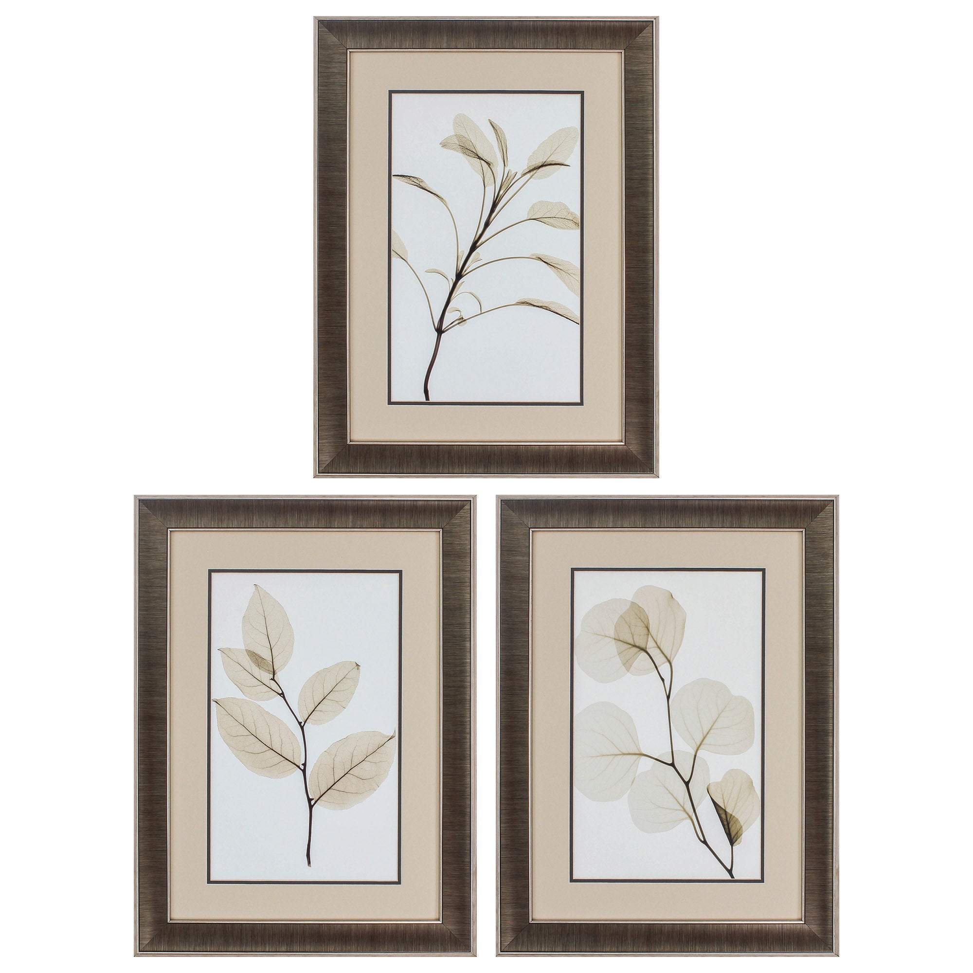 20" X 27" Gunmetal Gray Frame Sage Salal Eucalypt (Set of 3)