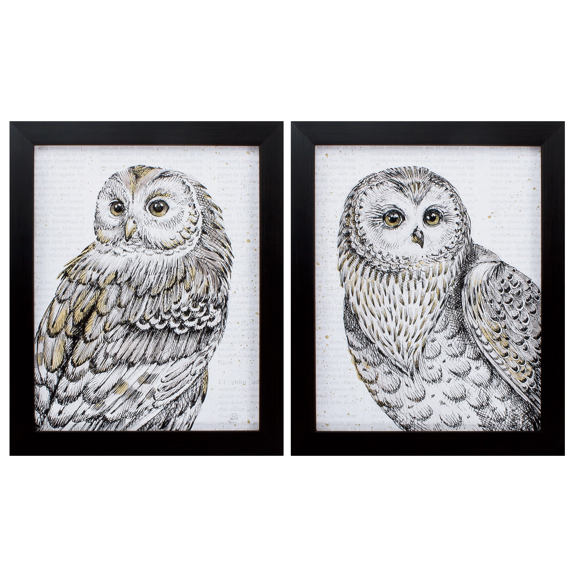 18" X 22" Brown Frame Beautiful Owls (Set of 2)
