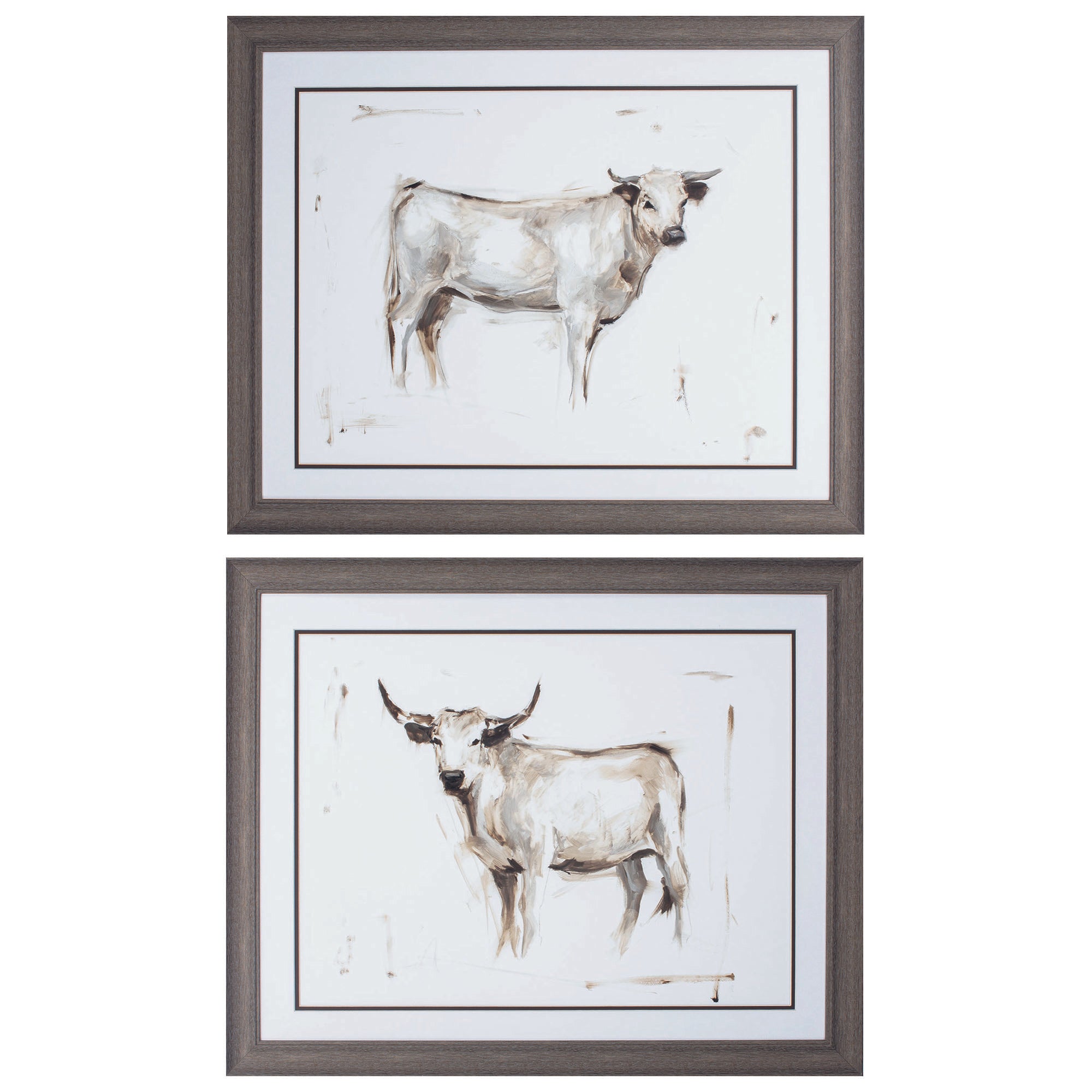 31" X 25" Distressed Wood Toned Frame White Cattle (Set of 2)