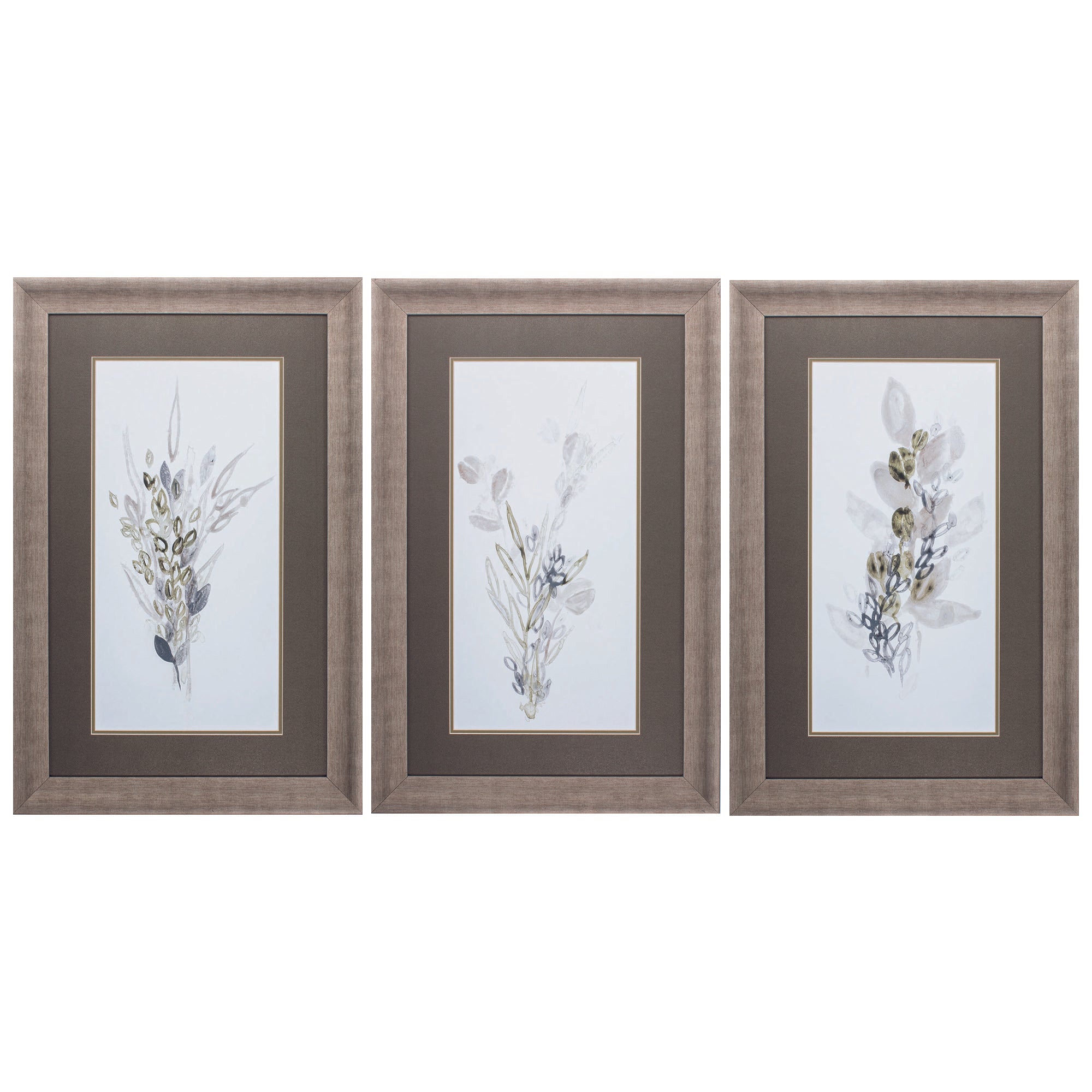 22" X 34" Champagne Color Frame  Botanica Whimsy (Set of 3)