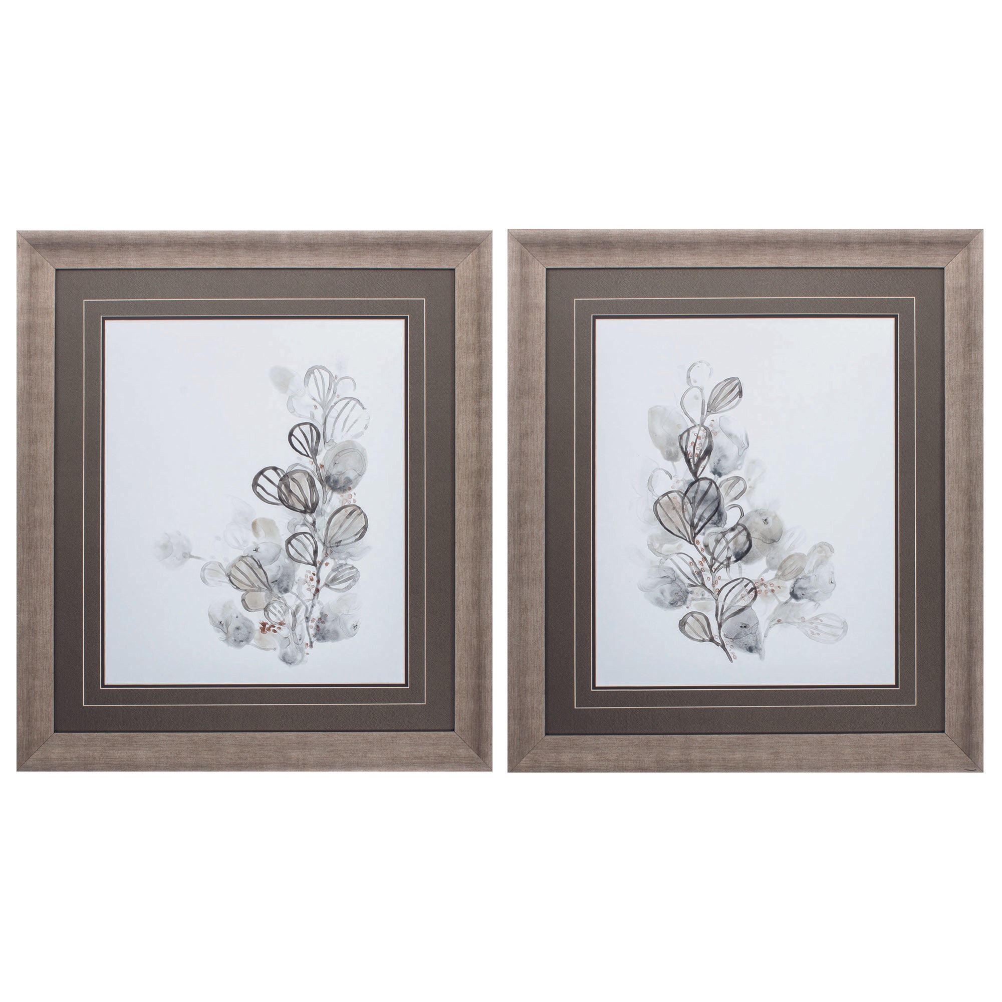 28" X 32" Champagne Color Frame  Neutral Botany (Set of 2)