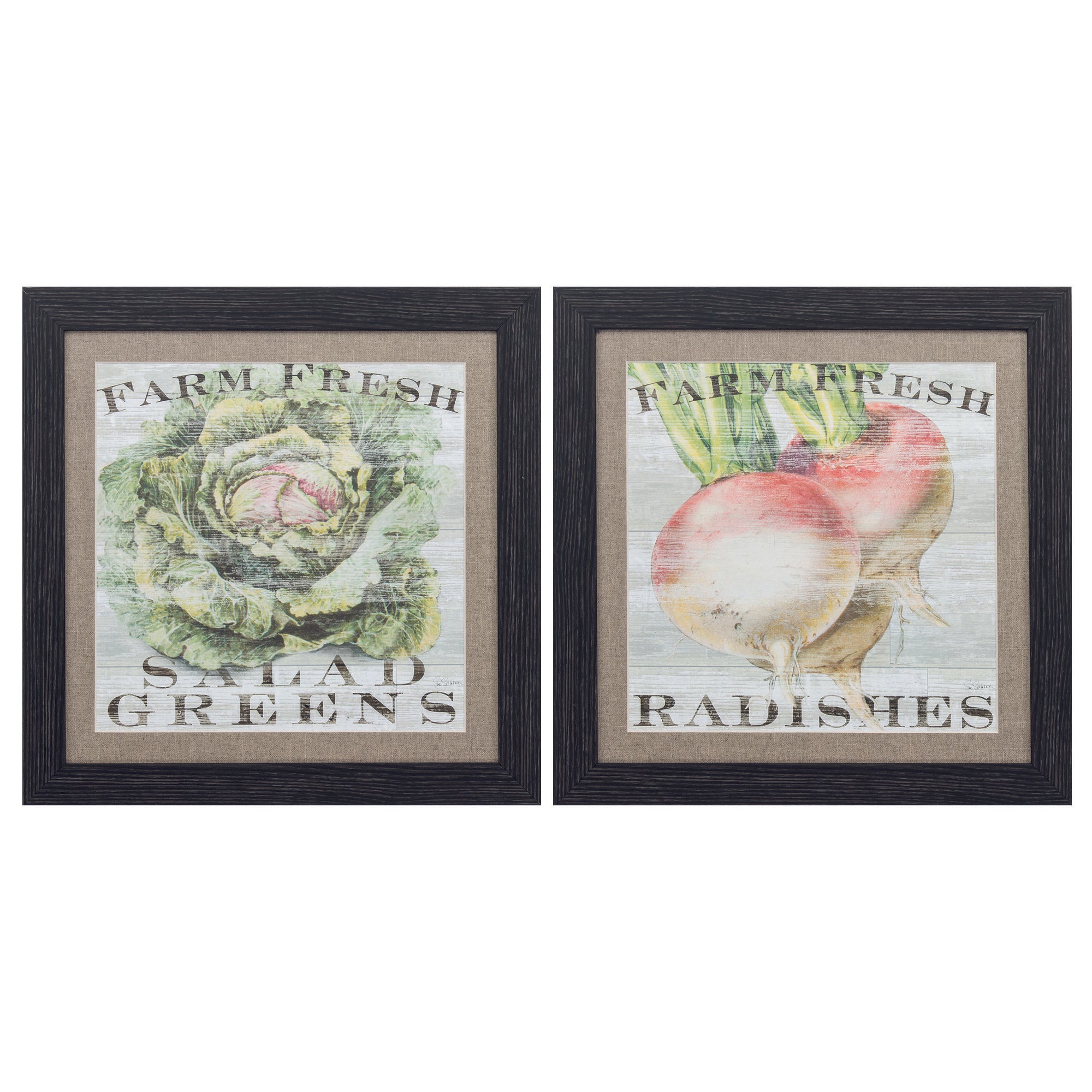 16" X 16" Distressed Black Frame Greens Radishes (Set of 2)