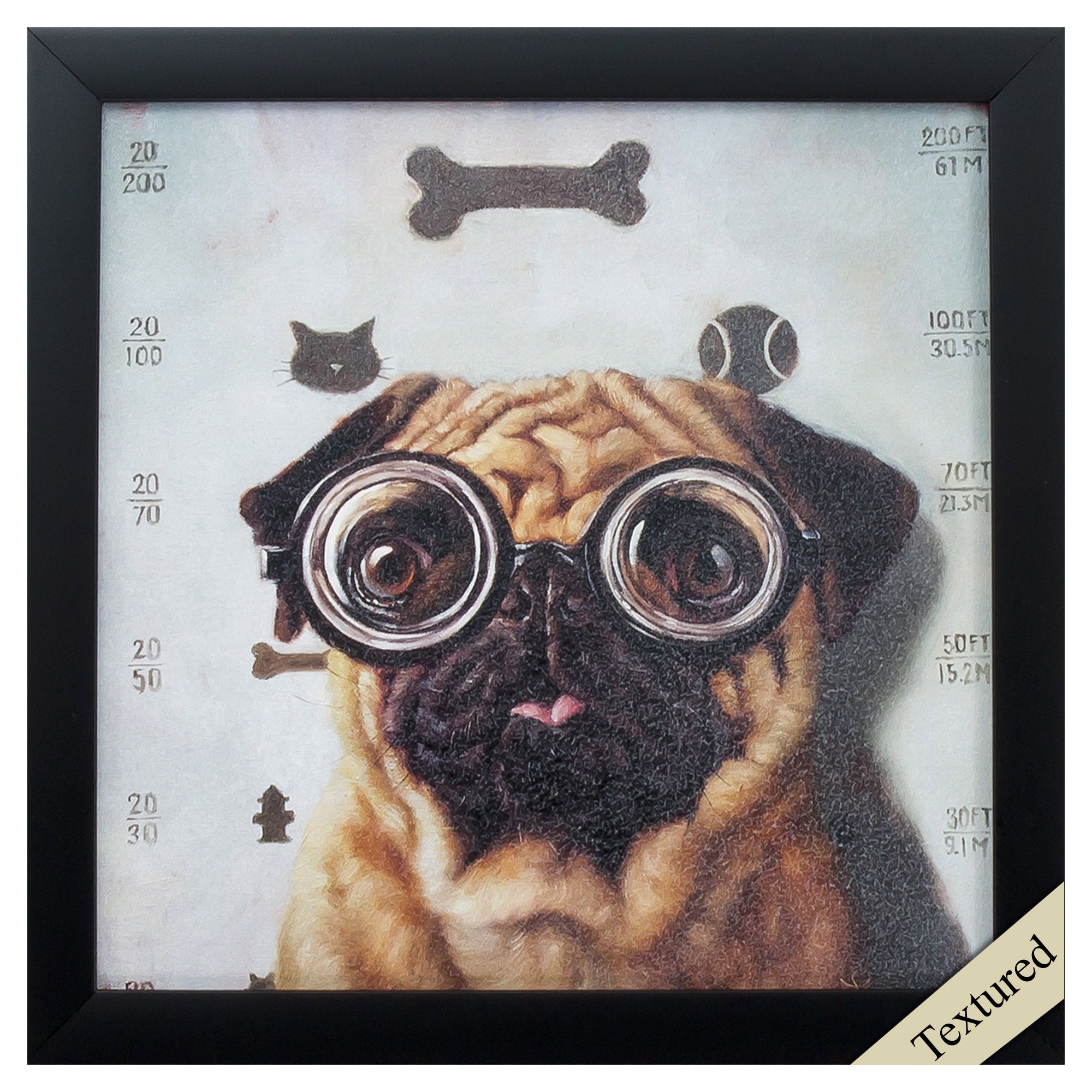 11" X 11" Black Frame Canine Eye Exam