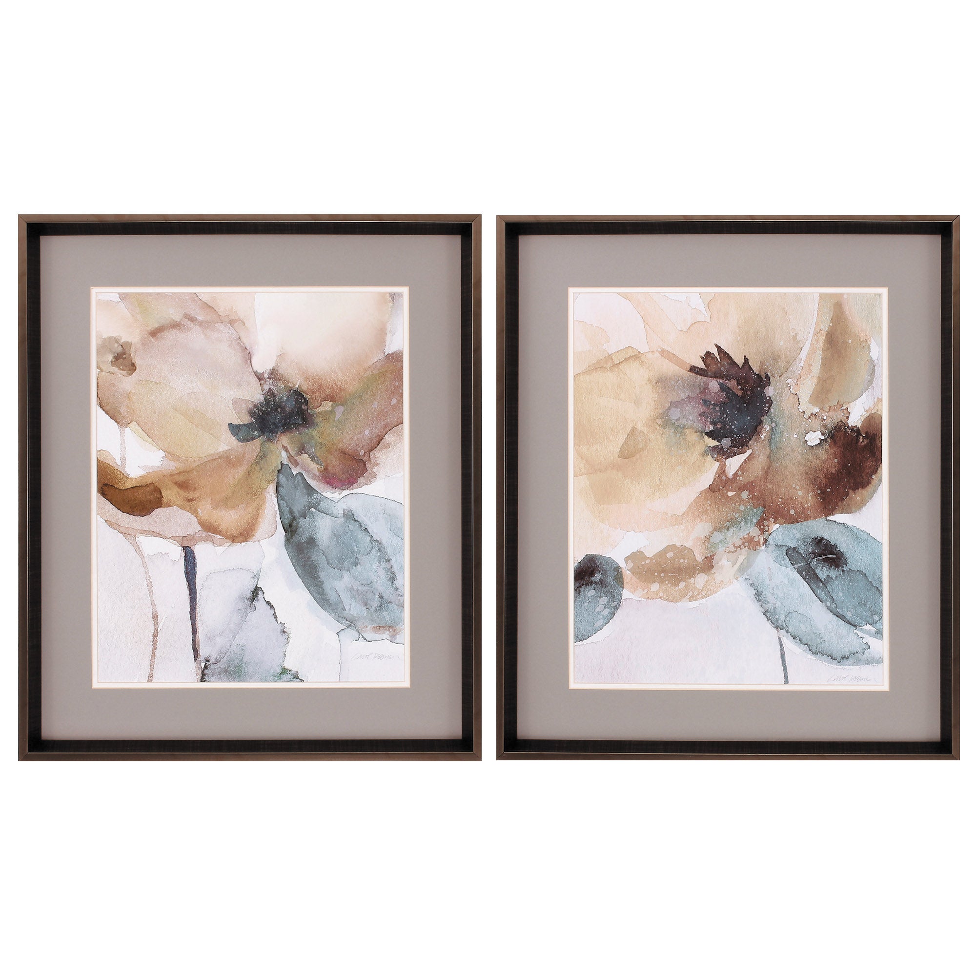23" X 27" Brushed Silver Frame Watercolor Poppy (Set of 2)