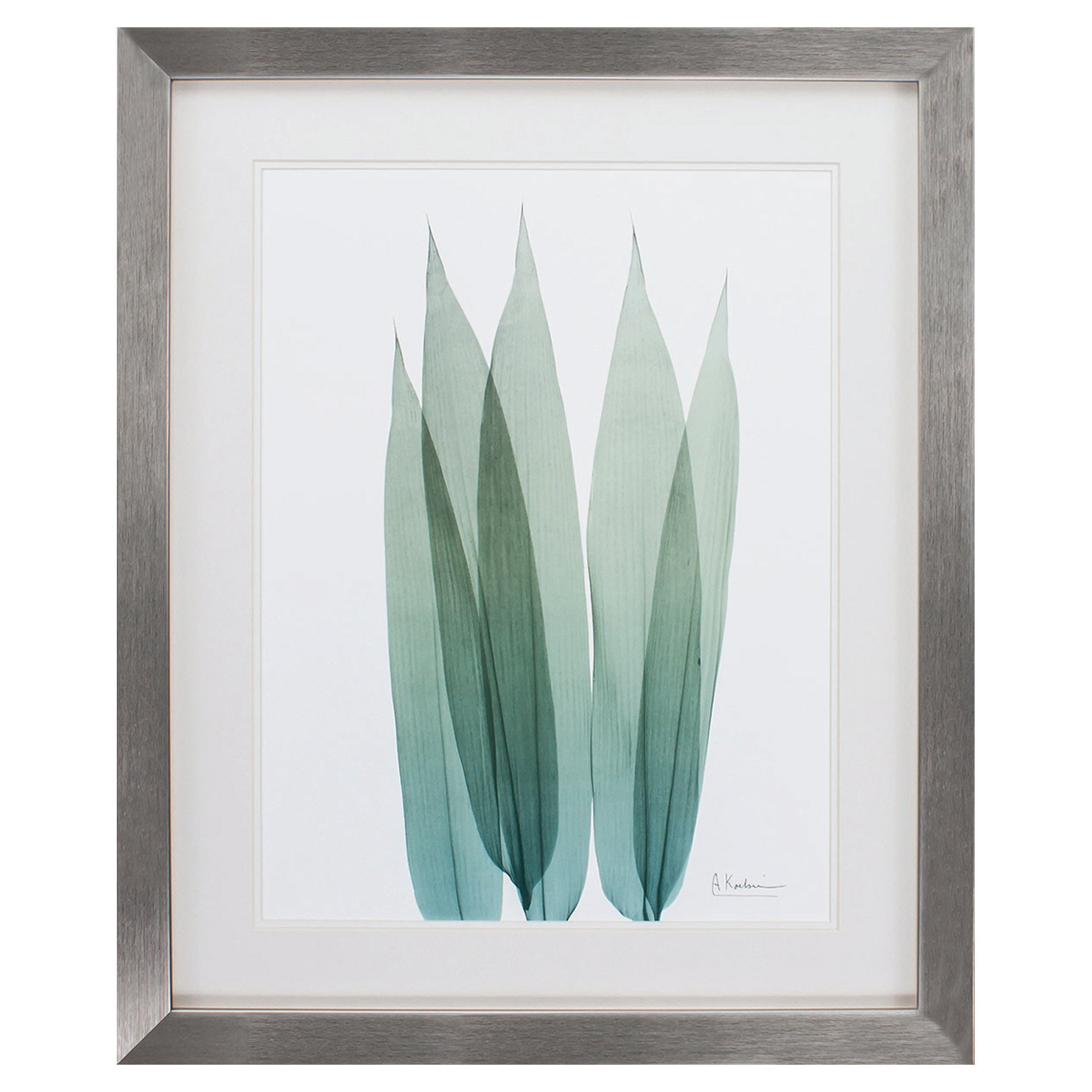 26" X 32" Silver Frame Sea Weed I