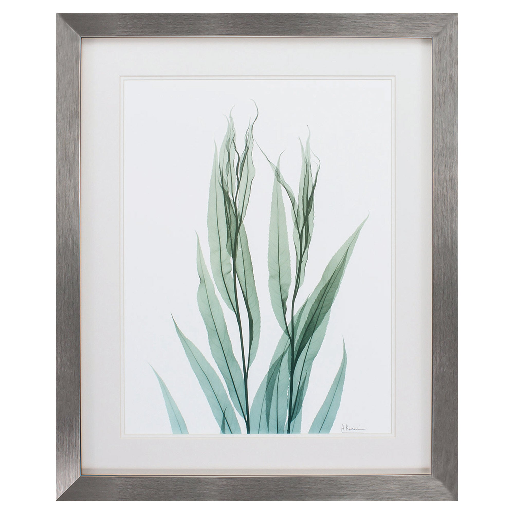 26" X 32" Silver Frame Sea Weed II