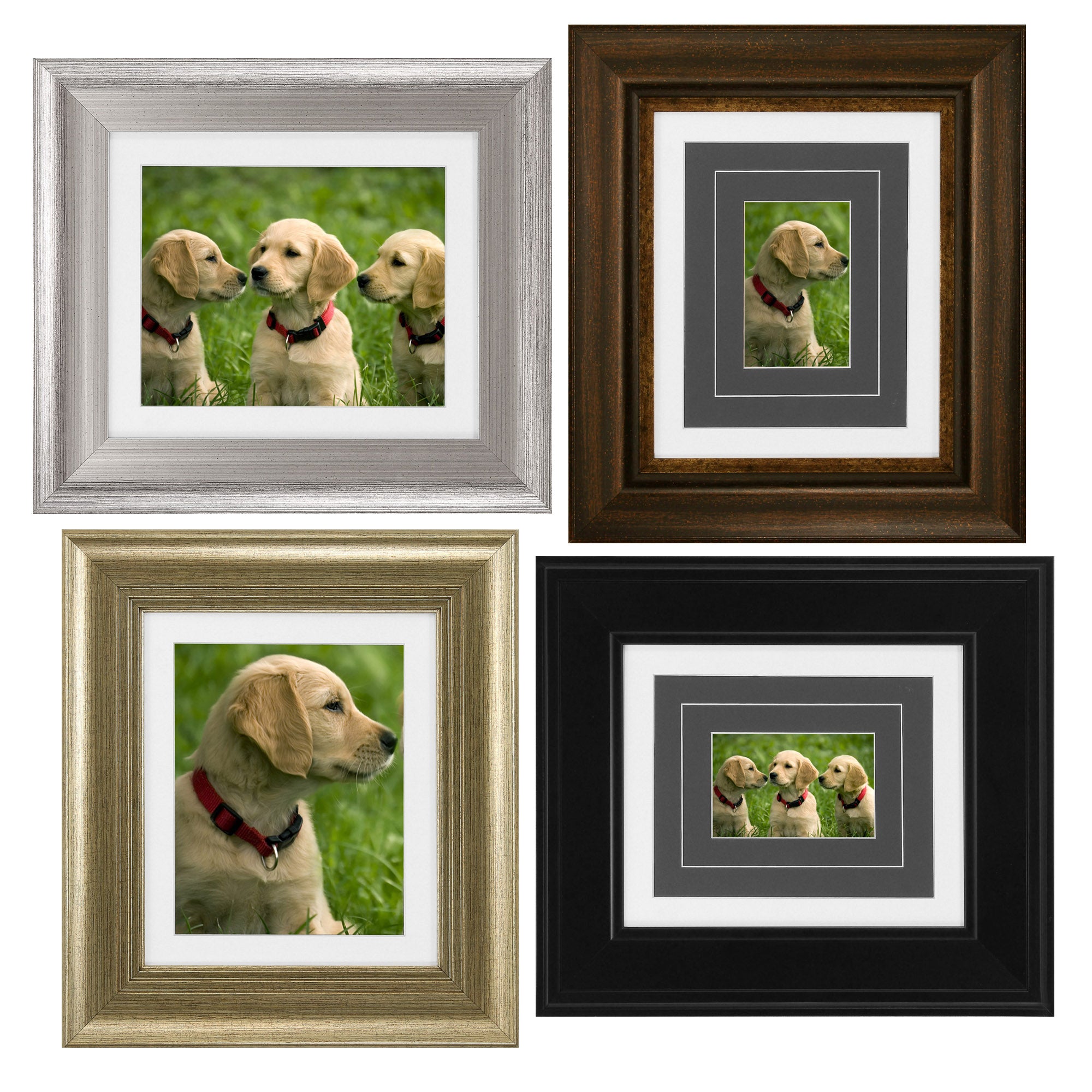 14" X 16" Photo Assortment Set of 4