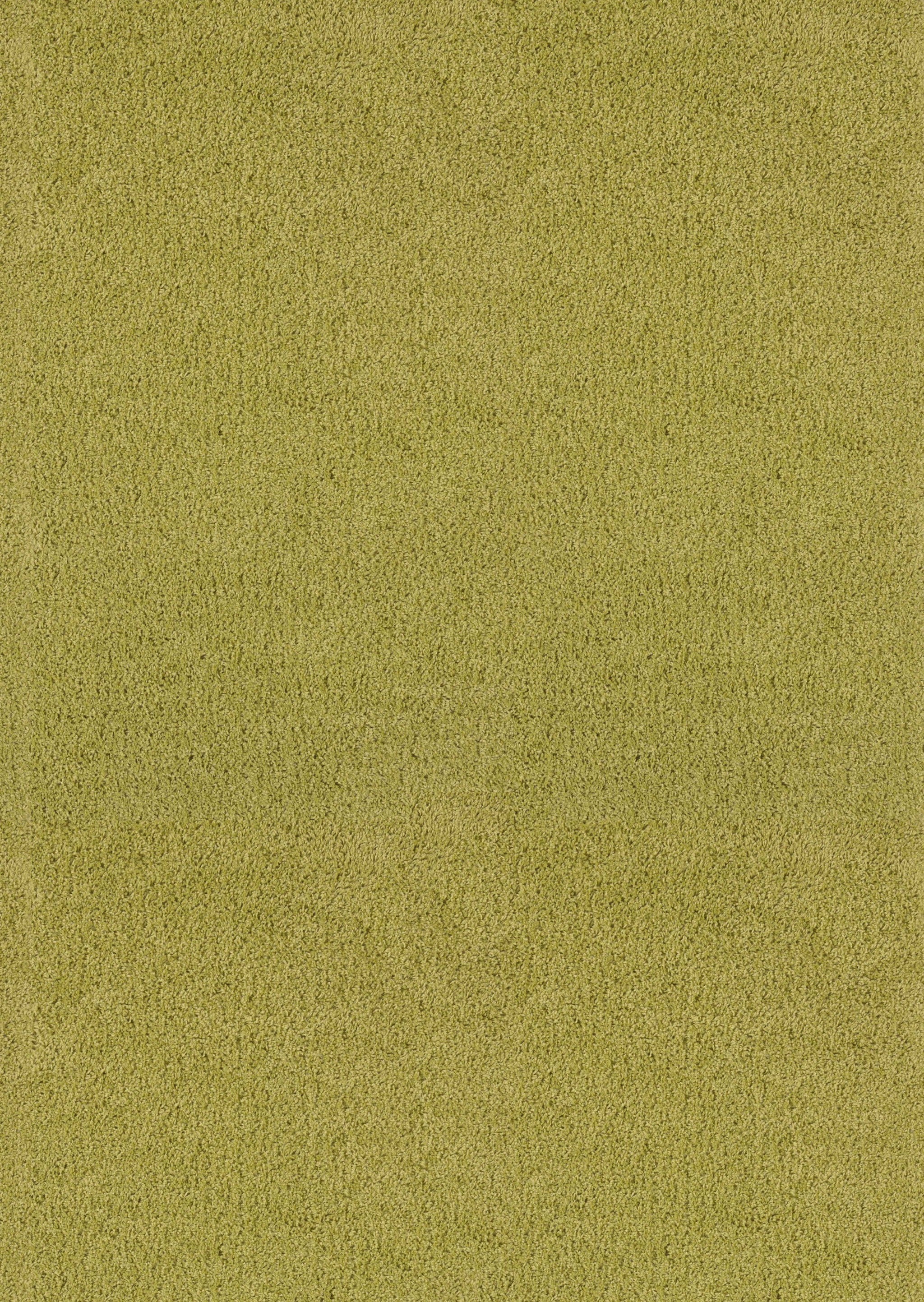 47" x 6" Lime Olefin Accent Rug