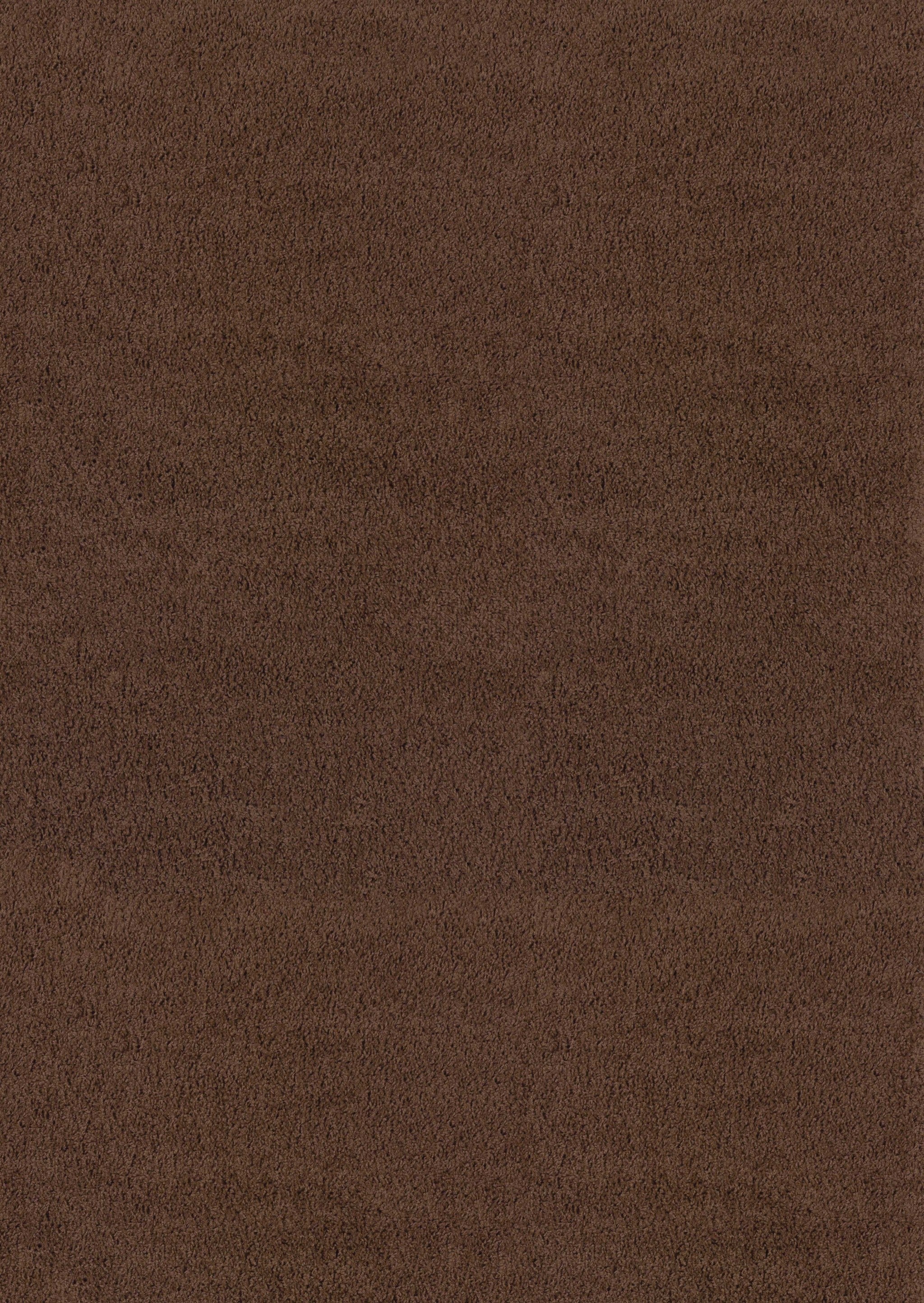 47" x 6" Brown Olefin Accent Rug