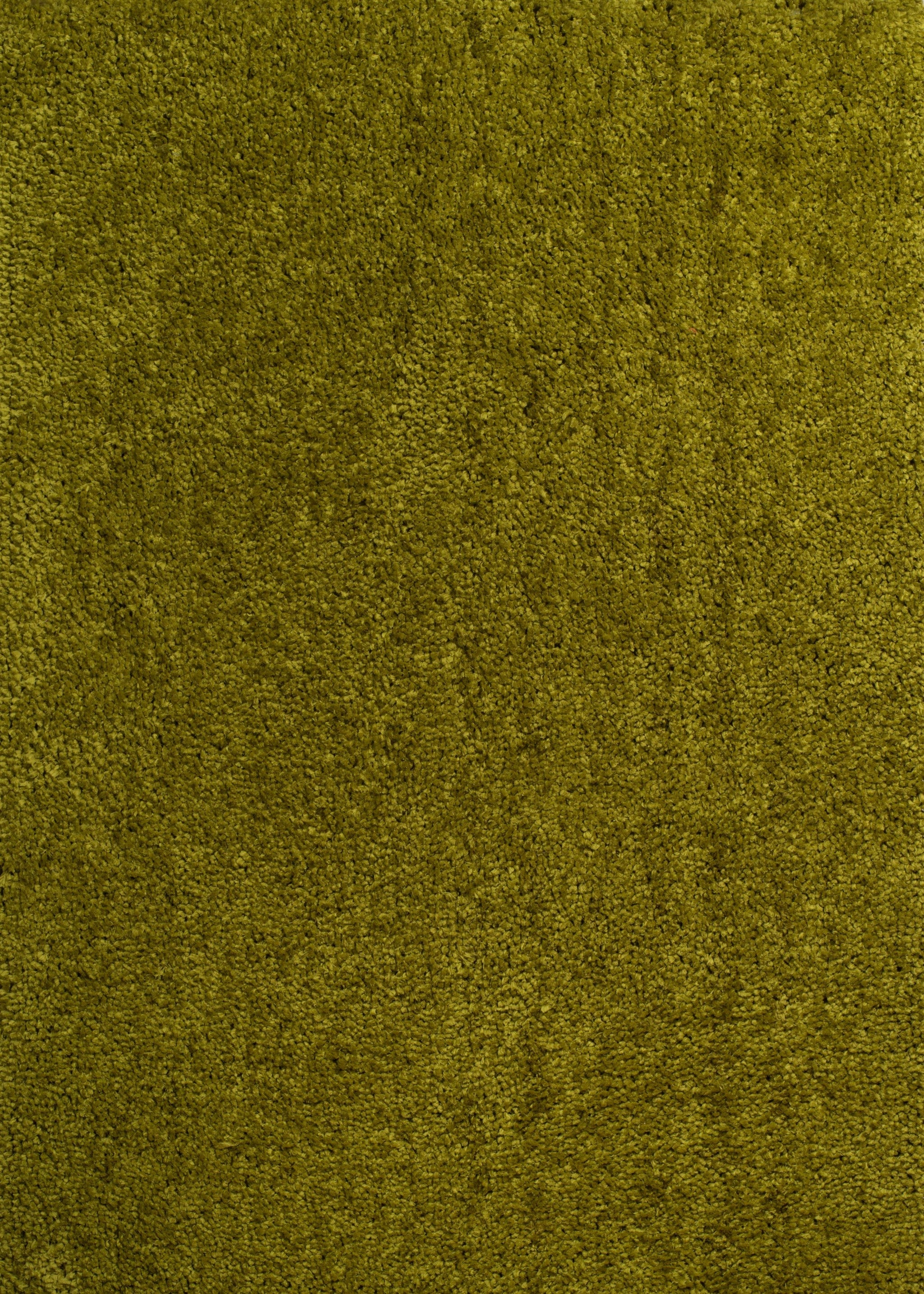 63" x 86" Green Polyester Area Rug