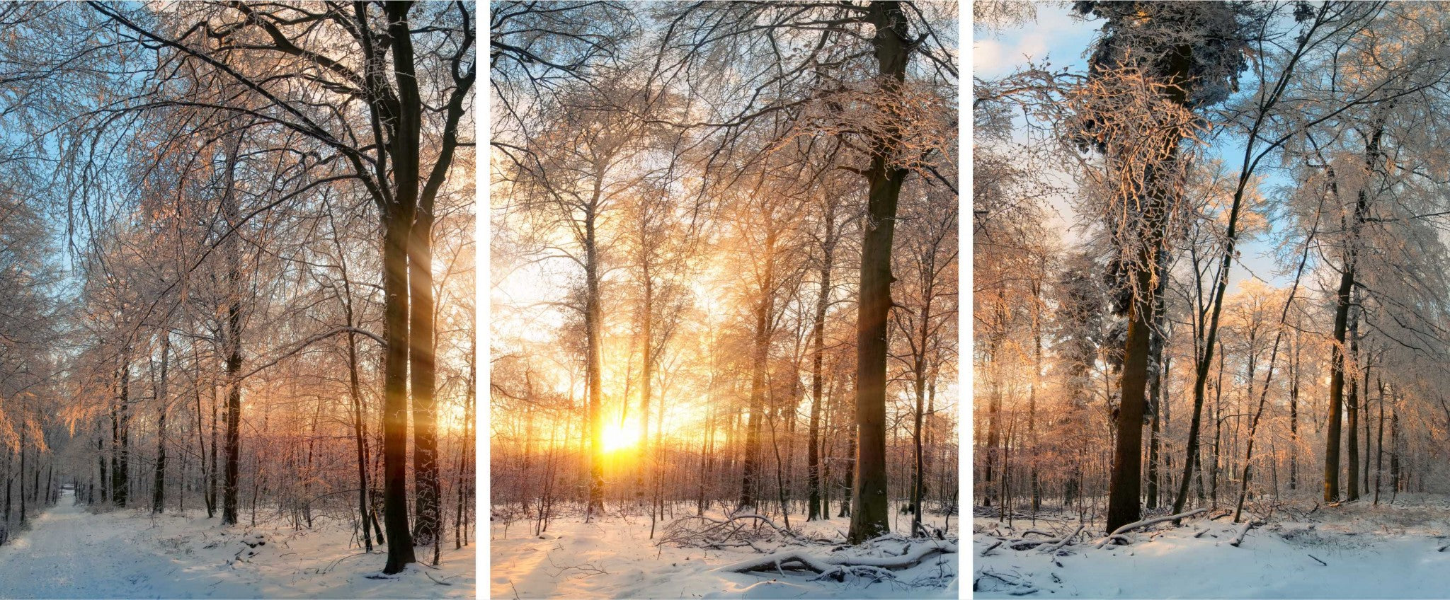 24" X 1" X 43" Acrylic Painting