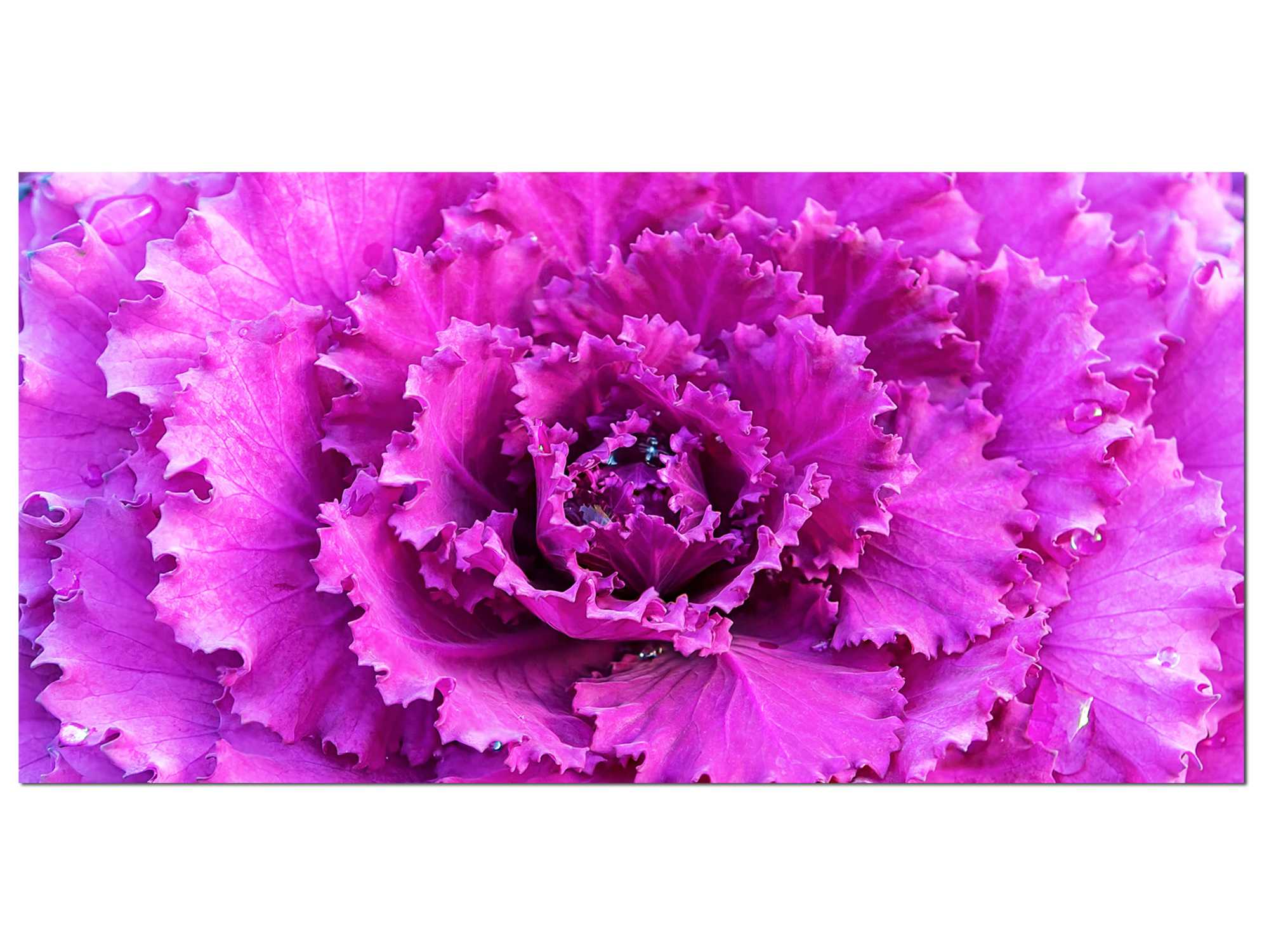 94.5" X 1" X 31.5" Acrylic Painting