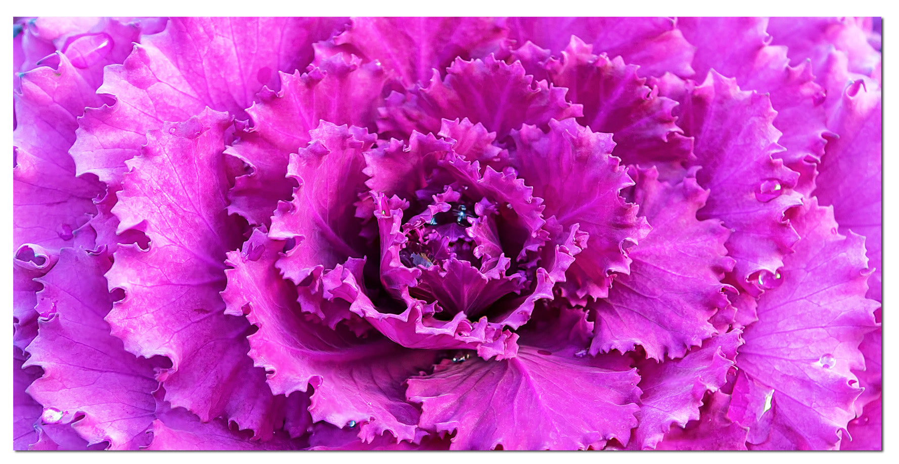 94.5" X 1" X 31.5" Acrylic Painting