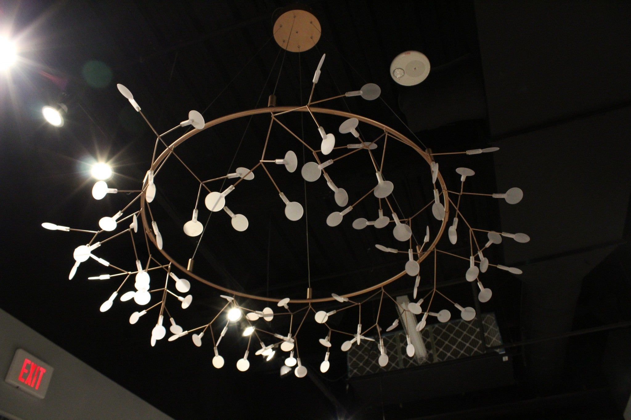 65" X 65" X 77" Stainless Steel Pendant Lamp