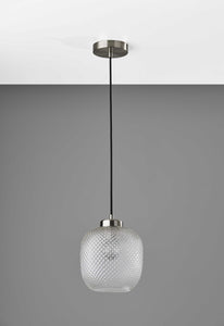 8.625" X 8.625" X 10.5" Brushed steel Glass Metal Pendant