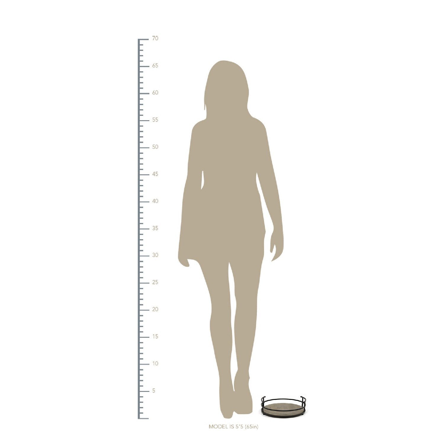 12" Round Metal Frame & Wood Tray