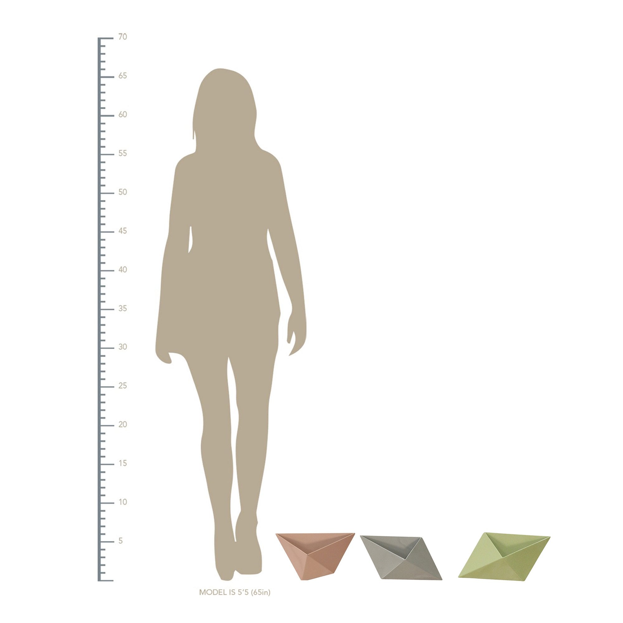 S 3 Tropical Tricolor Wall Planters