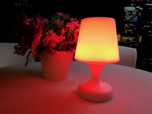11" X 5" X 6" Multi PE Plastic LED Table Lamp with Bluetooth Speaker