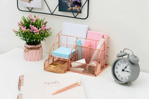 Stylish Rose Gold 6 Compartment Desk Organizer