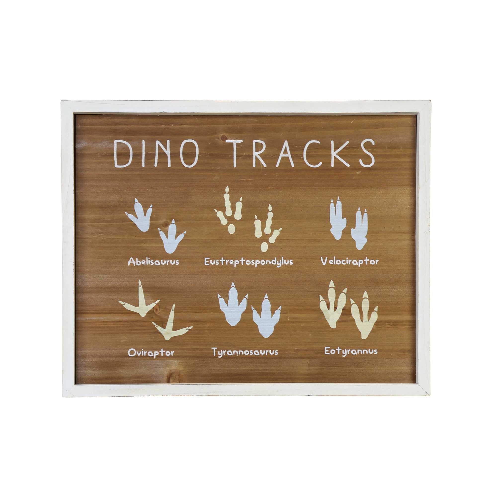 16" X 20" Dino Tracks  Framed Wall Art