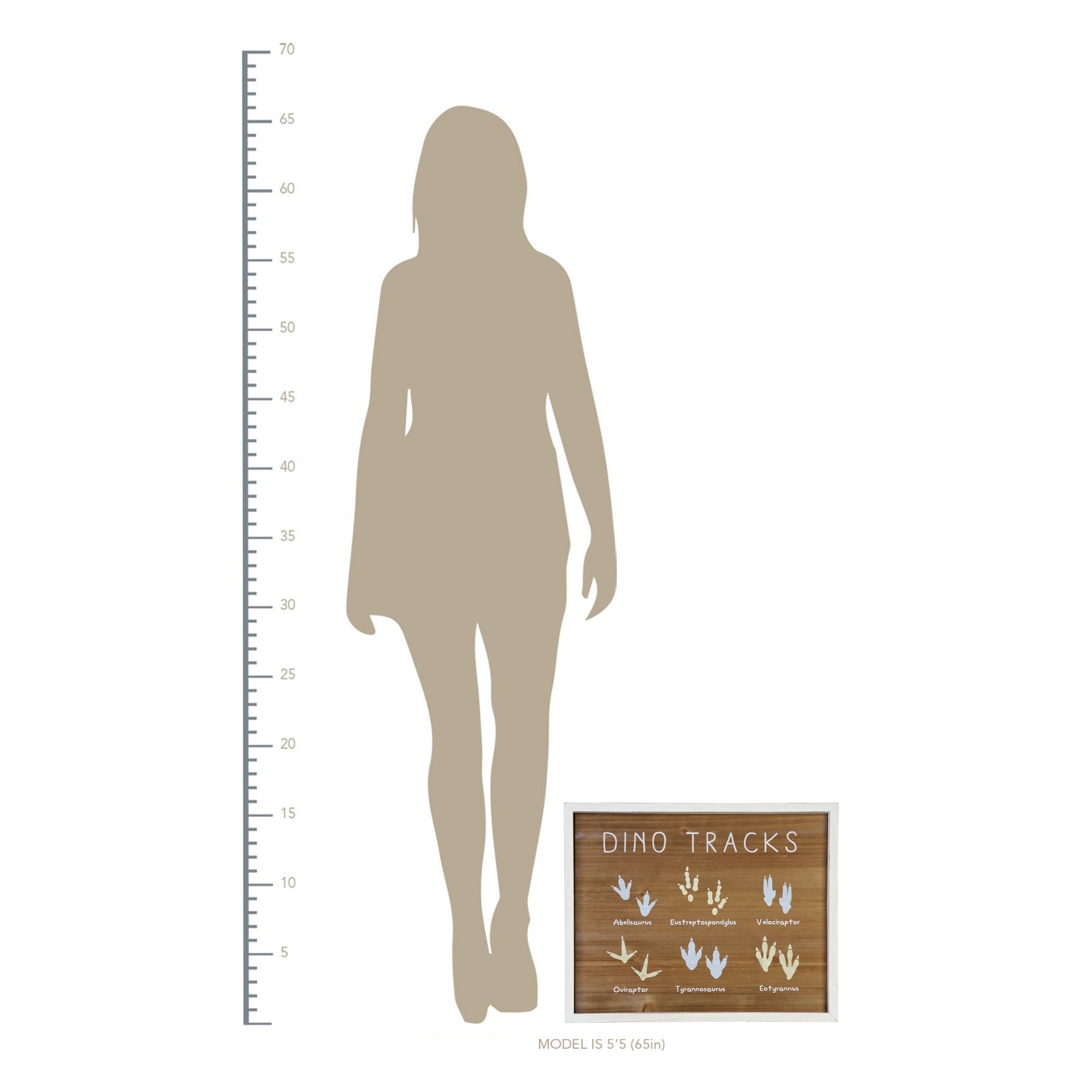 16" X 20" Dino Tracks  Framed Wall Art