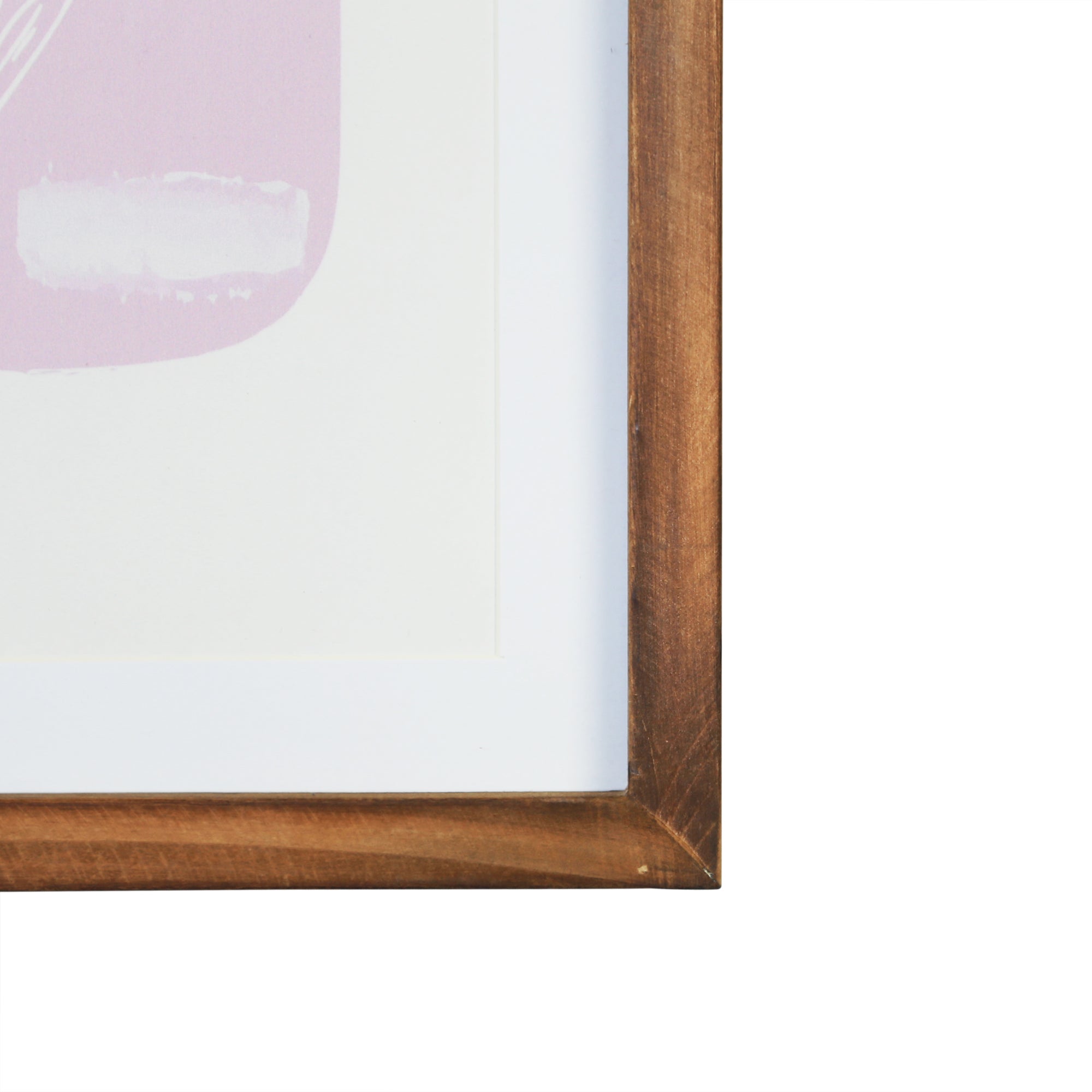 11" X 14" Flower Framed Wall Art with Glass