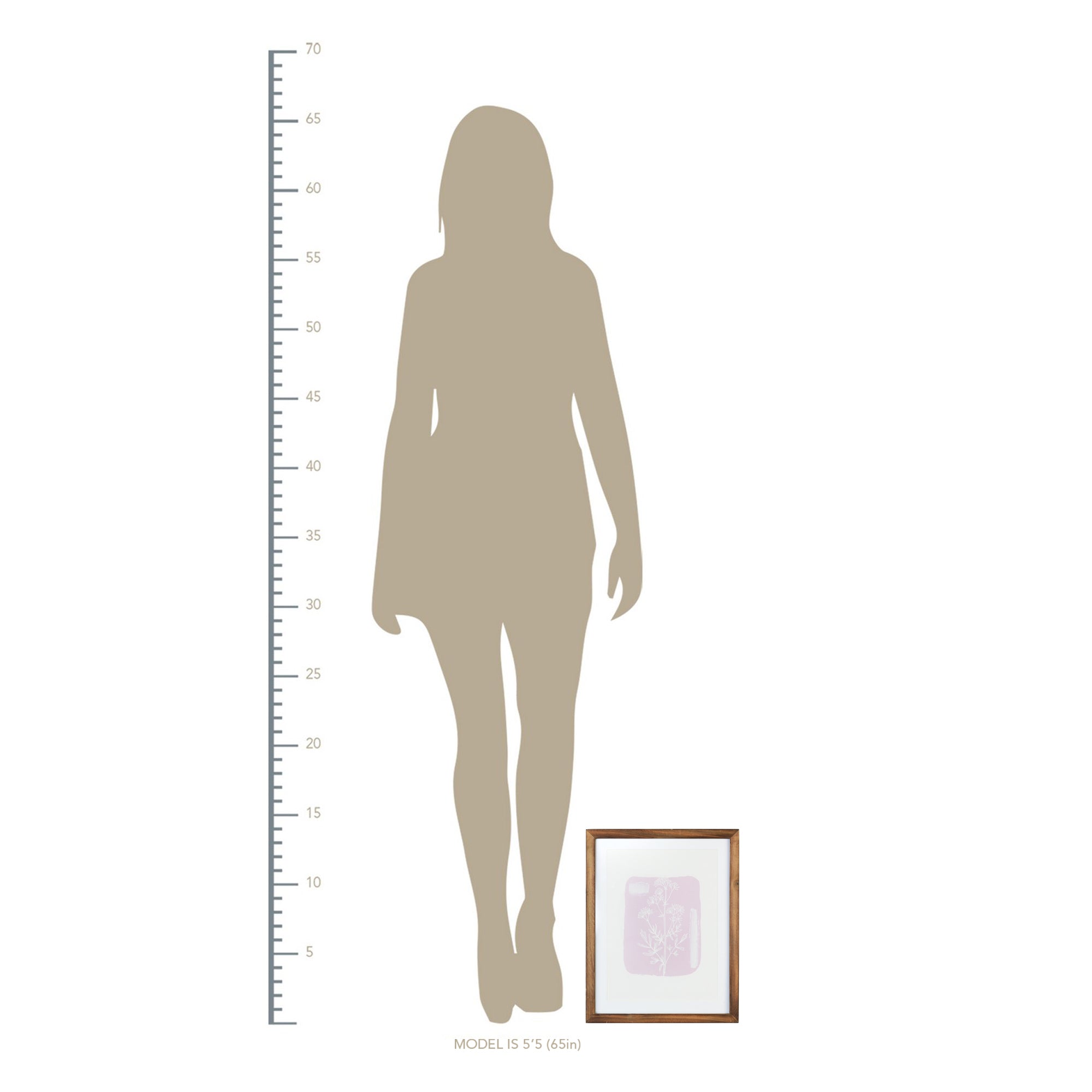 11" X 14" Flower Framed Wall Art with Glass