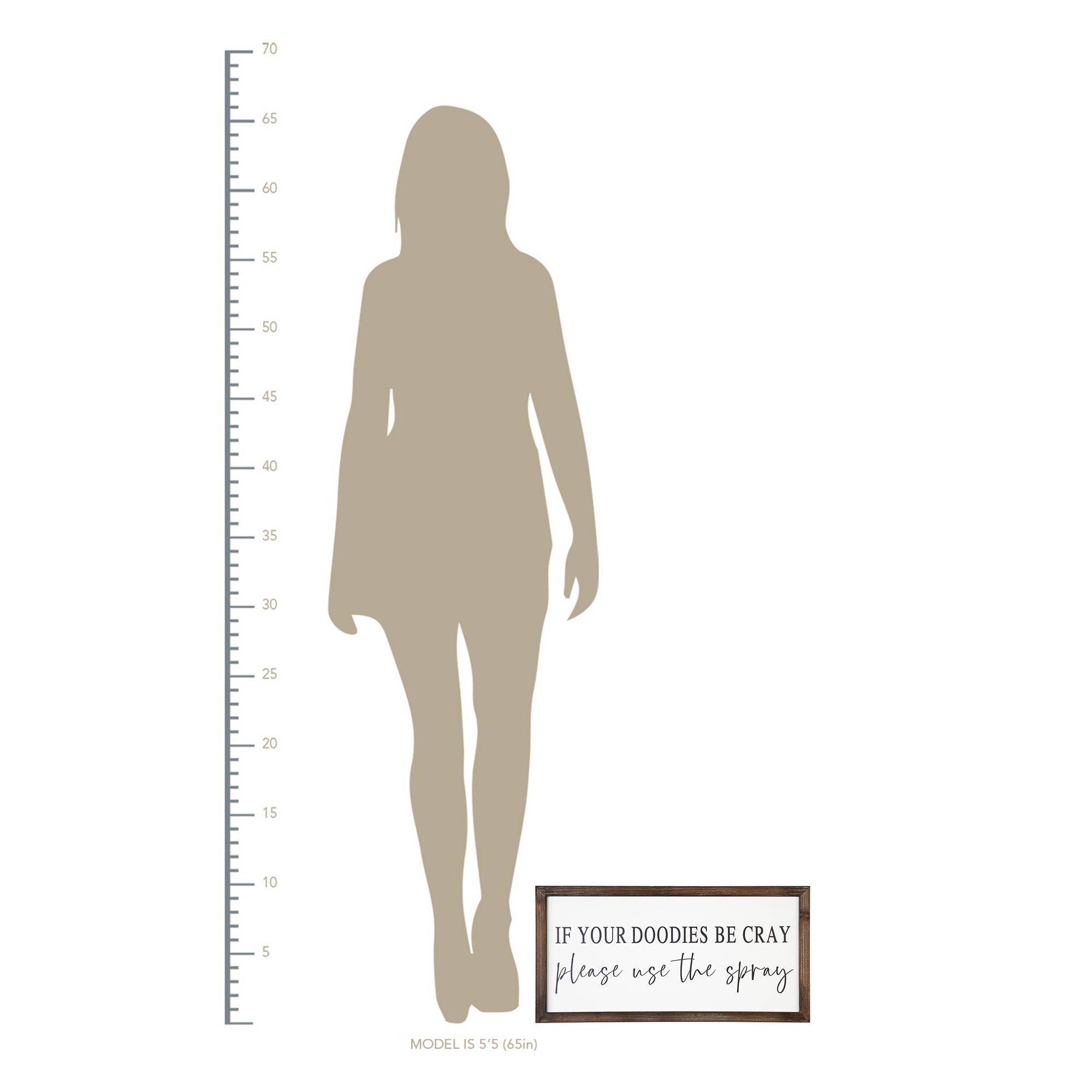 20" x 10" "If Your Doodies Be Cray  Please Use The Spray" Framed Wall Art