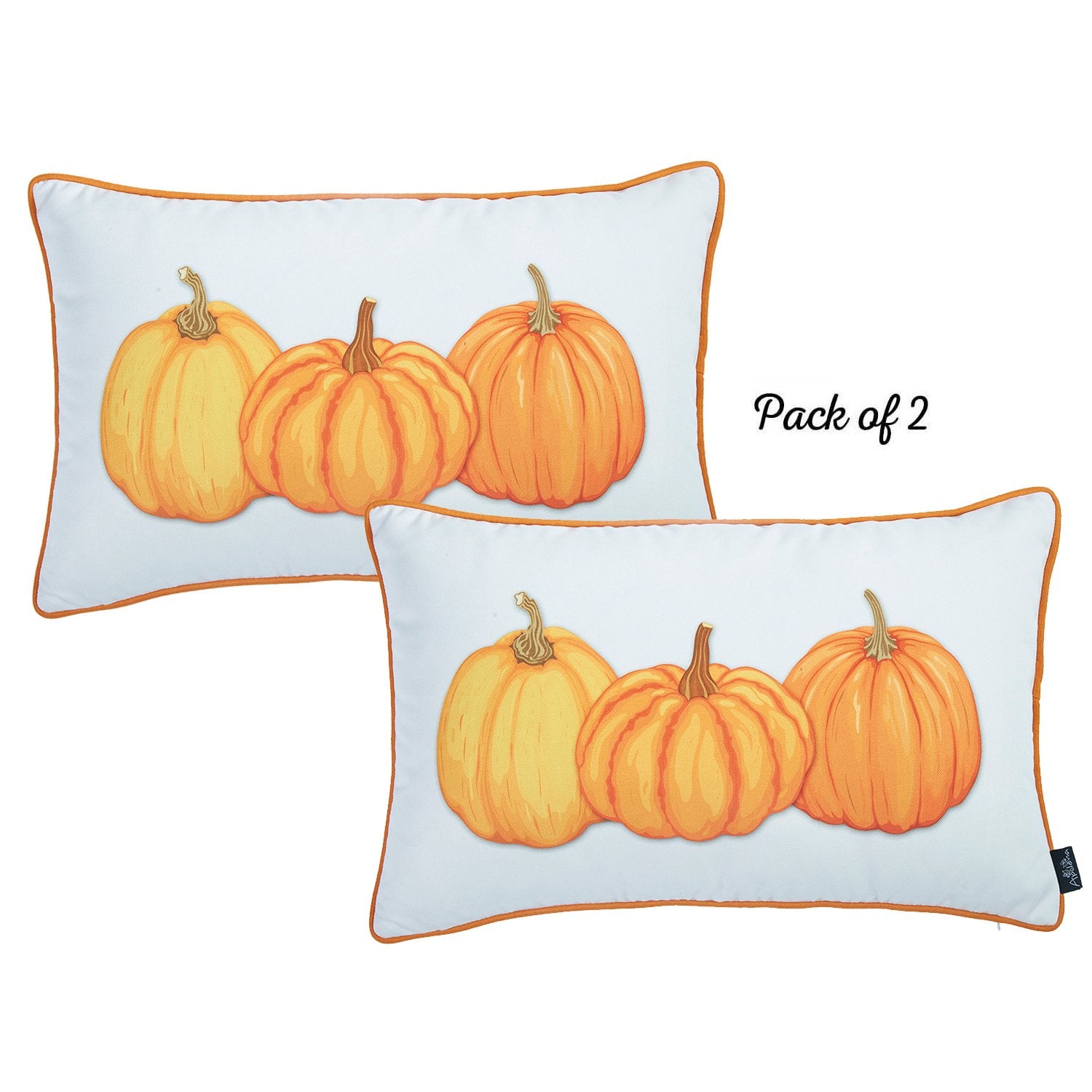 Set of 2 20" Thanksgiving Pumpkin Throw Pillow Cover in Multicolor