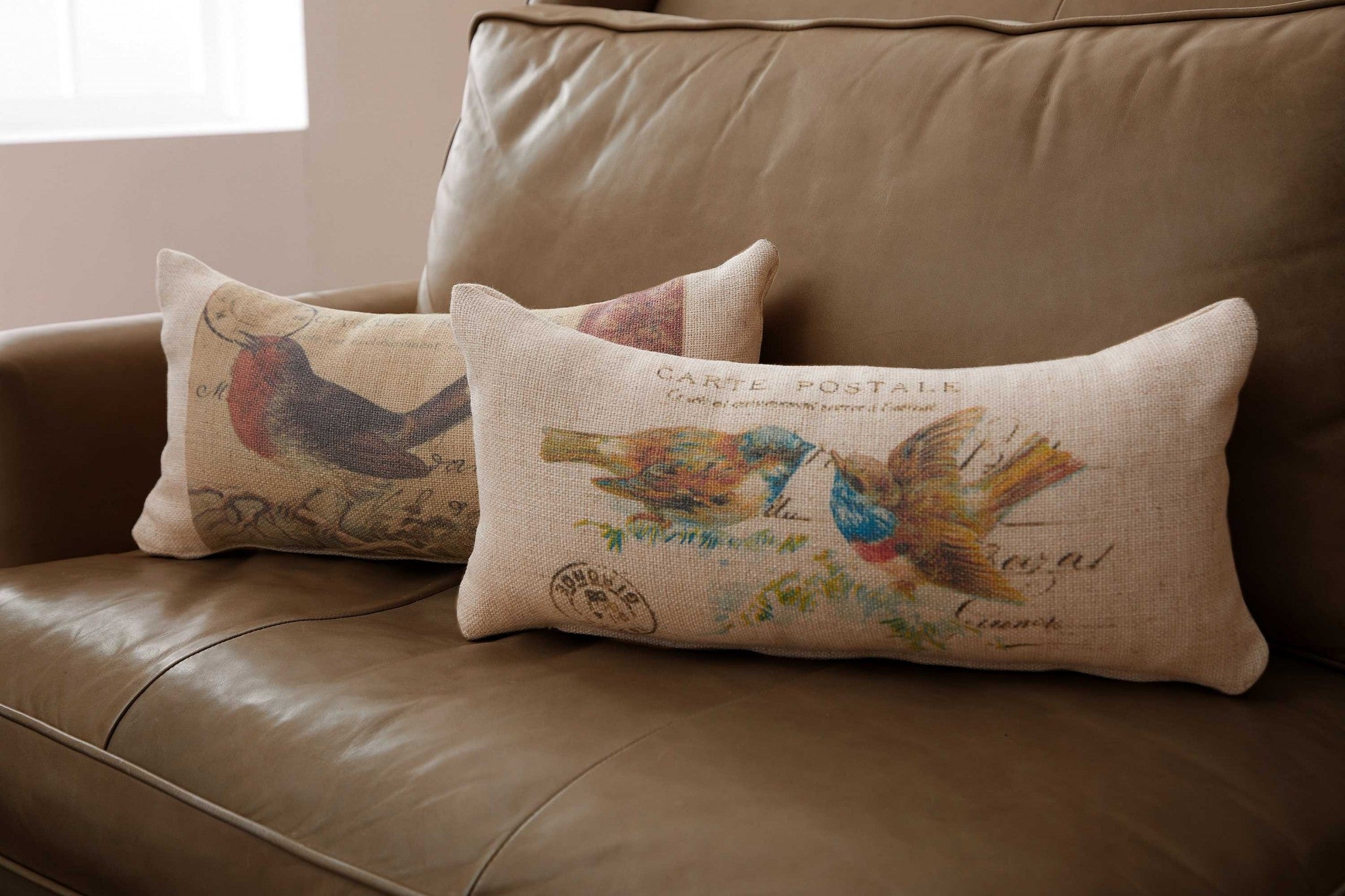 Oatmeal Bird Postcards Decorative Pillow