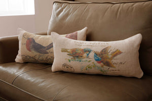 Oatmeal Bird Postcards Decorative Pillow