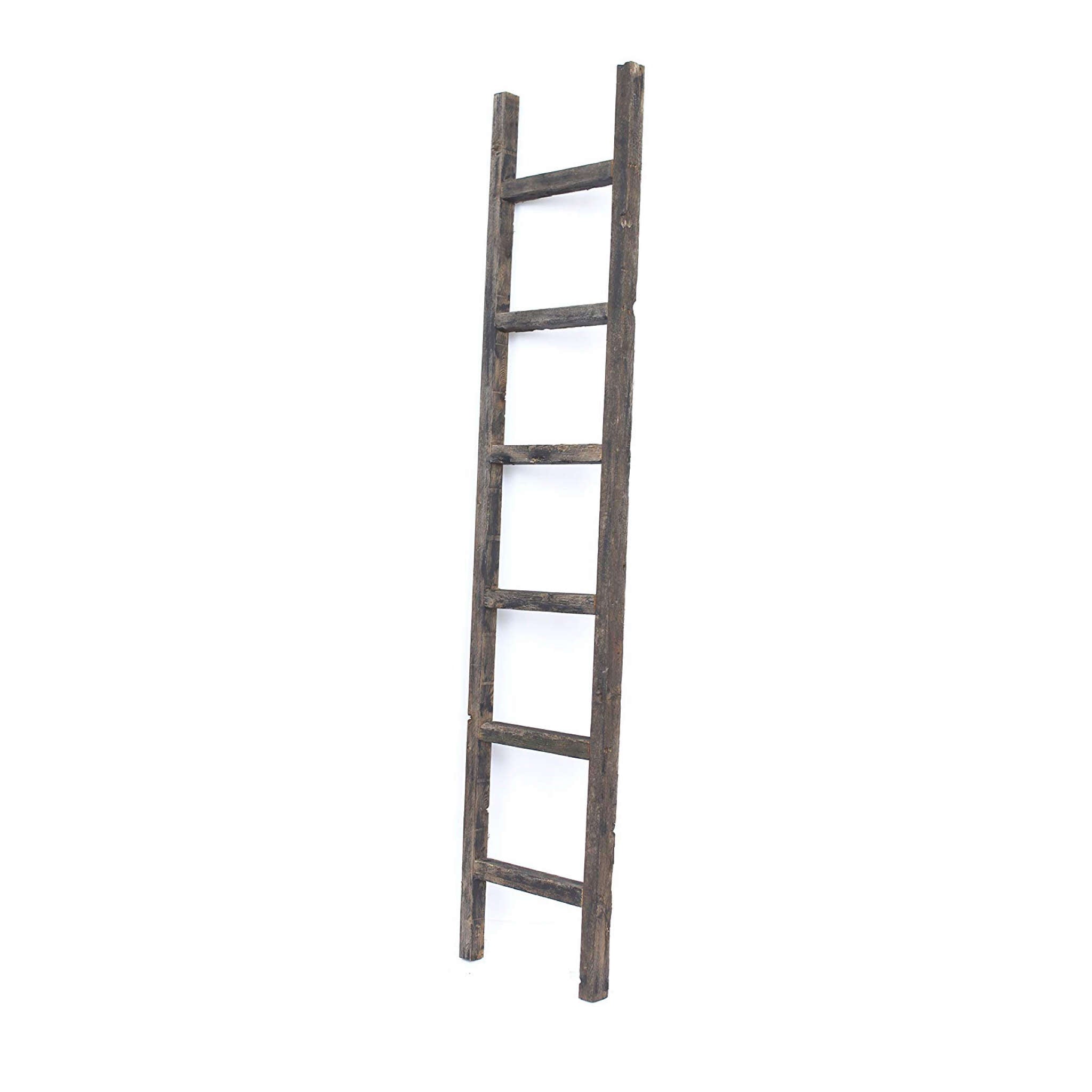 5 Step Rustic Turquoise Wood Ladder Shelf