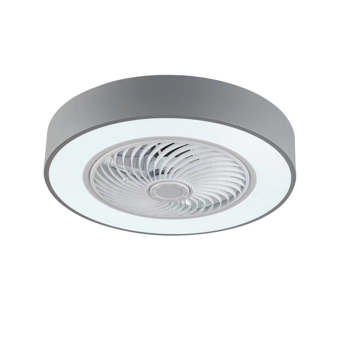 Black Modern Ceiling Ceiling Fan and Light